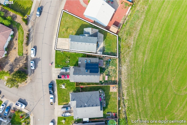 bird's eye view