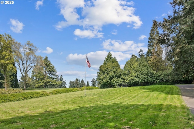1500 SE Waverly Dr, Milwaukie, OR 97222 - view of green lawn featuring a view of countryside