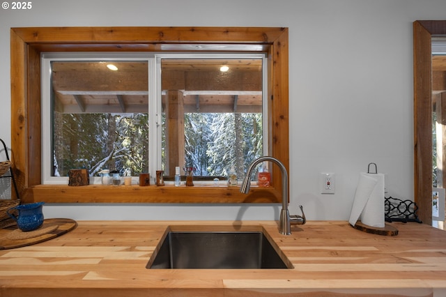 kitchen with sink and butcher block counters