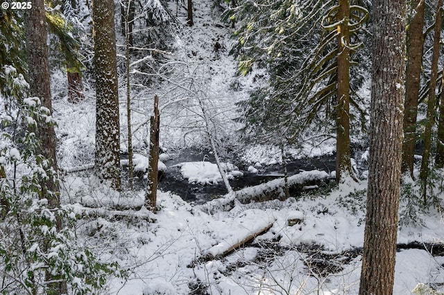 view of snowy landscape