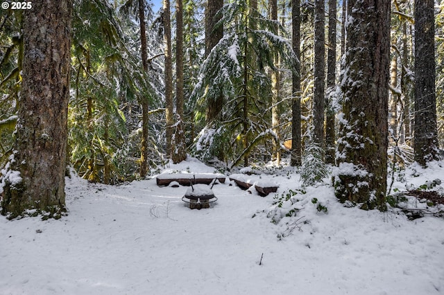 view of snowy landscape