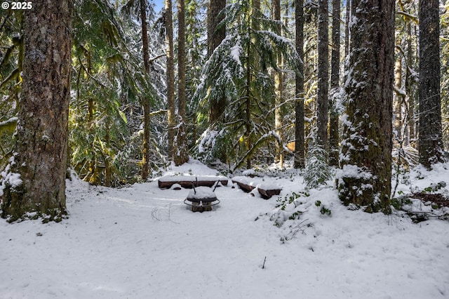 78596 E Rd 32, Government Camp, OR 97028 - view of snow covered land featuring a wooded view