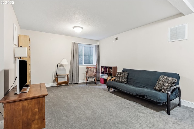 sitting room featuring carpet floors and a textured ceiling