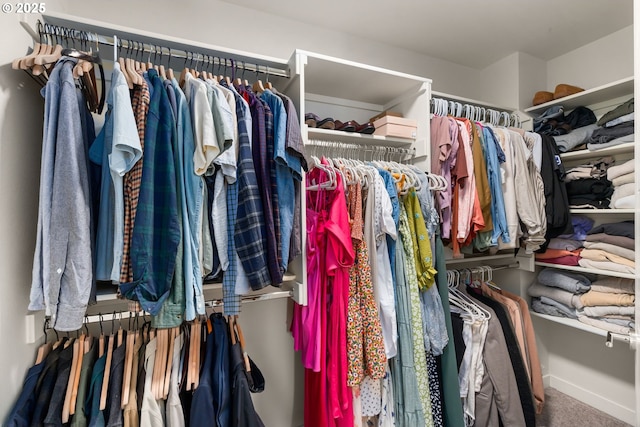 spacious closet featuring carpet flooring