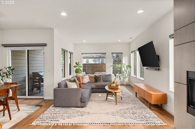 living room featuring light hardwood / wood-style flooring