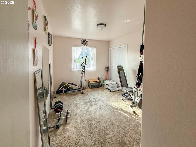 142 NE Stevenson Ct, Myrtle Creek, OR 97457 - workout area featuring carpet flooring