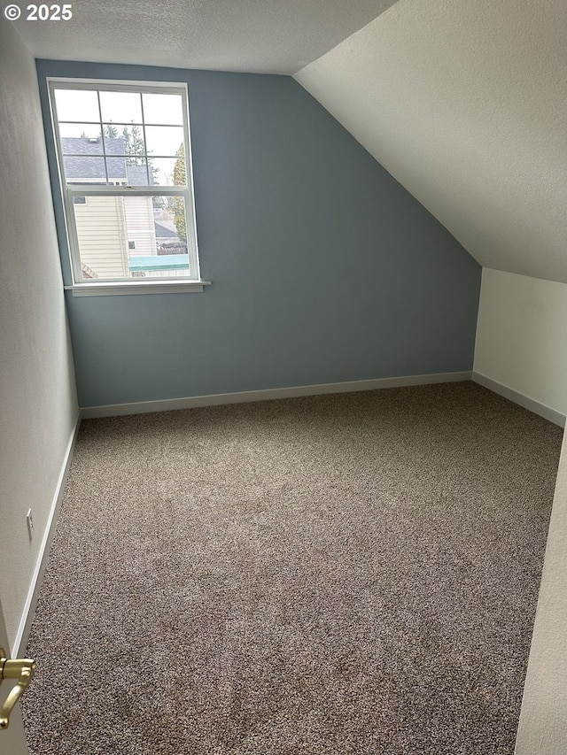 additional living space featuring lofted ceiling, carpet, and a textured ceiling