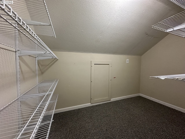 spacious closet with lofted ceiling and carpet