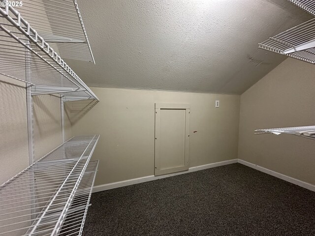 additional living space featuring lofted ceiling, carpet floors, and a textured ceiling