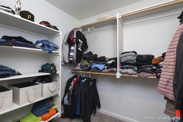 spacious closet featuring carpet