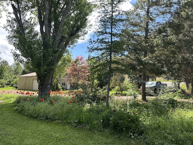 440 N Mountain Blvd, Mount Vernon, OR 97865 - view of yard