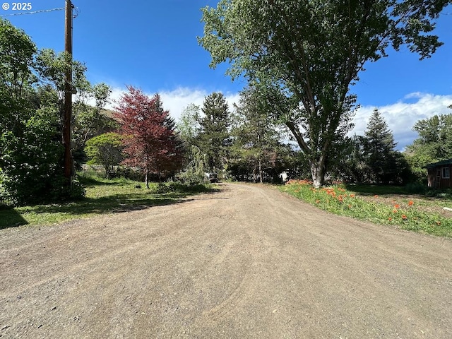 440 N Mountain Blvd, Mount Vernon, OR 97865 - view of dirt / gravel road