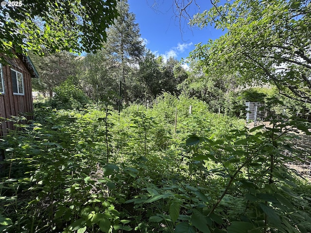 440 N Mountain Blvd, Mount Vernon, OR 97865 - view of nature
