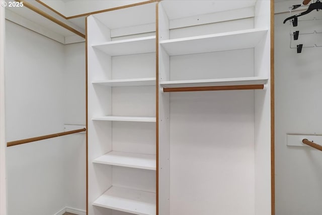 view of spacious closet