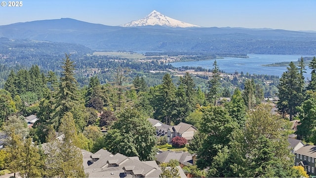 1145 NW 22nd Ave, Camas, WA 98607 - aerial view of a forest and a water and mountain view