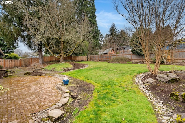 view of yard with a patio area and a fenced backyard