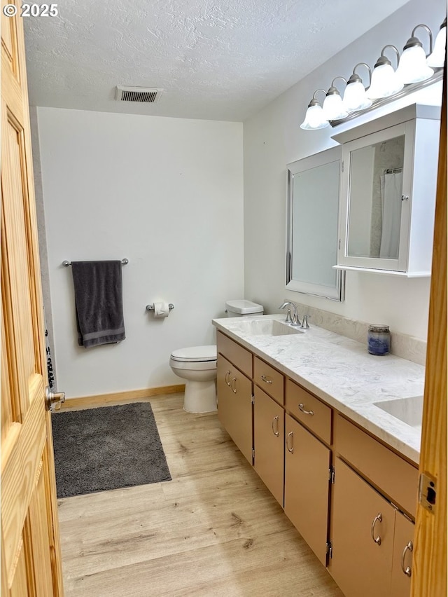 38434 Mckenzie Hwy, Springfield, OR 97478 - bathroom with wood finished floors, a textured ceiling, toilet, double vanity, and a shower