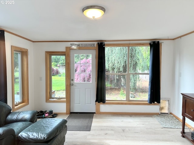 38434 Mckenzie Hwy, Springfield, OR 97478 - doorway with light wood finished floors, ornamental molding, and healthy amount of natural light