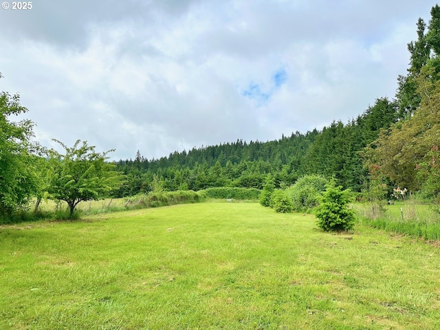 38434 Mckenzie Hwy, Springfield, OR 97478 - view of yard featuring a wooded view