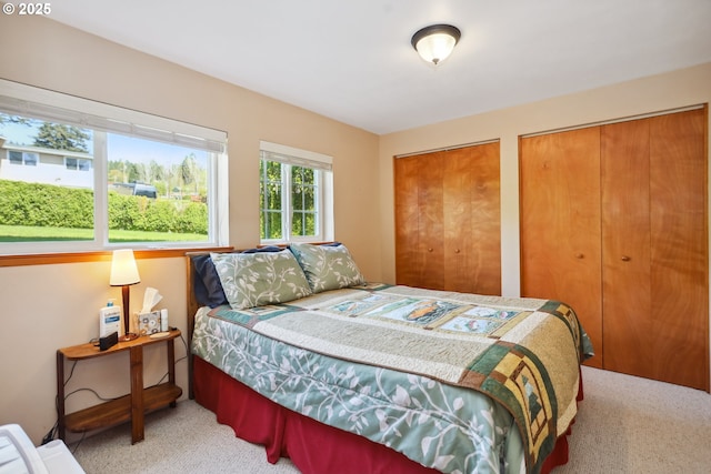 178 NE Tari Ln, Stevenson, WA 98648 - bedroom with carpet and two closets