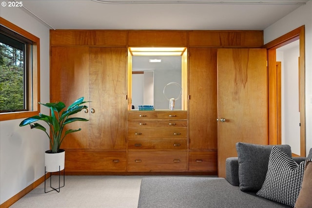 321 NW Hilltop Dr, Portland, OR 97210 - view of closet
