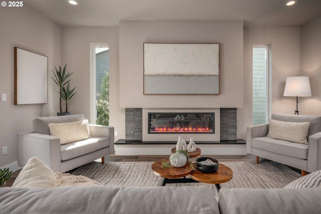 living room with wood-type flooring