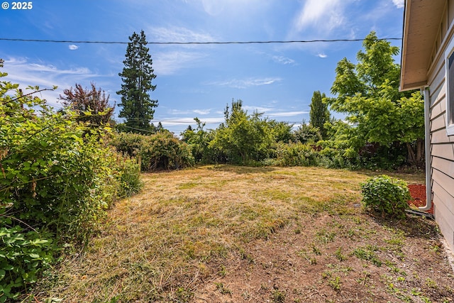 823 20th St, Springfield, OR 97477 - view of yard