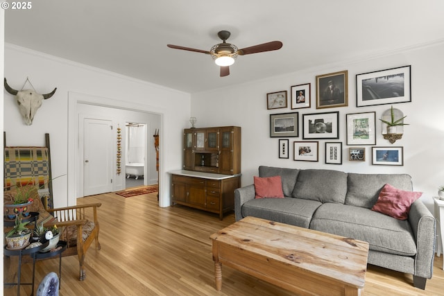 1529 SE Hawthorne Blvd Unit 204, Portland, OR 97214 - living room with light wood finished floors, a ceiling fan, and ornamental molding