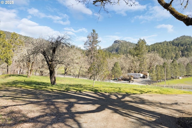 view of road with a view of trees