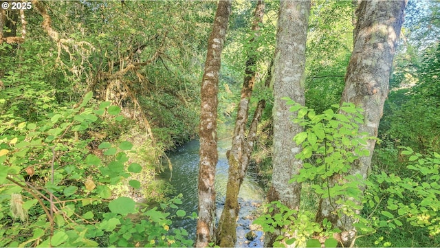 view of local wilderness featuring a wooded view