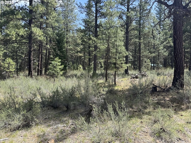 Como Way Unit 23, Klamath Falls, OR 97601