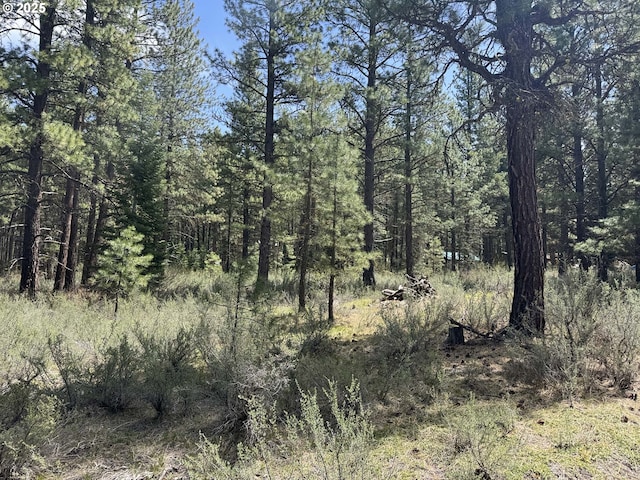 Como Way Unit 23, Klamath Falls, OR 97601