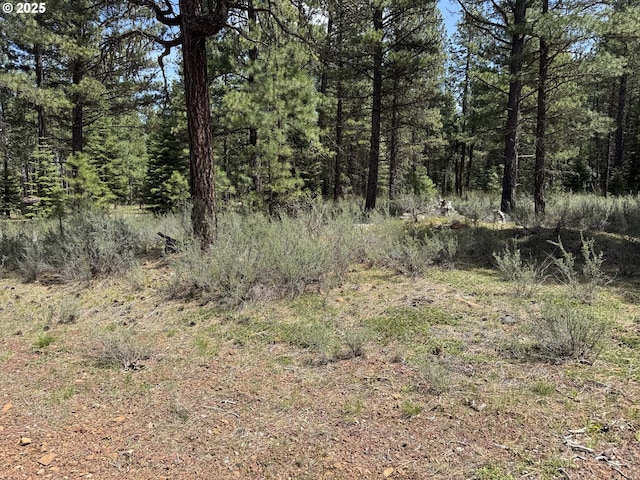 Como Way Unit 23, Klamath Falls, OR 97601