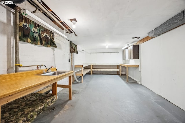 basement featuring sink