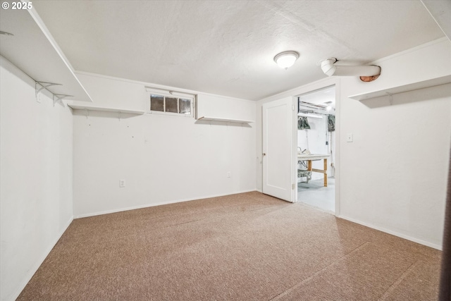 basement with a textured ceiling and carpet flooring