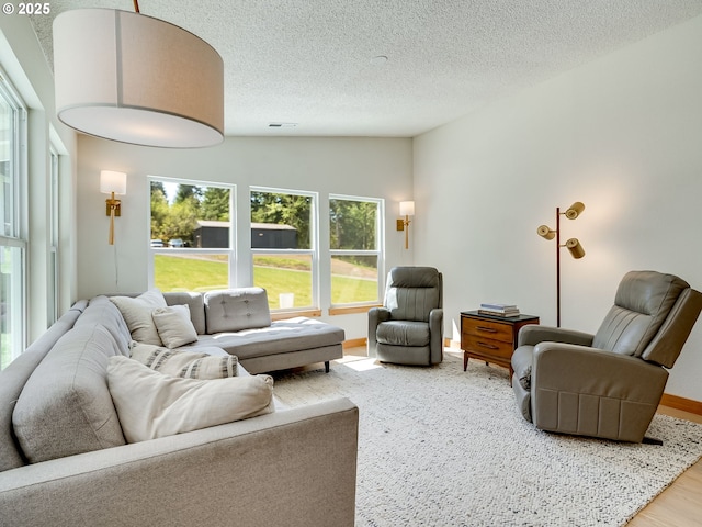 living room featuring baseboards, a textured ceiling, and wood finished floors