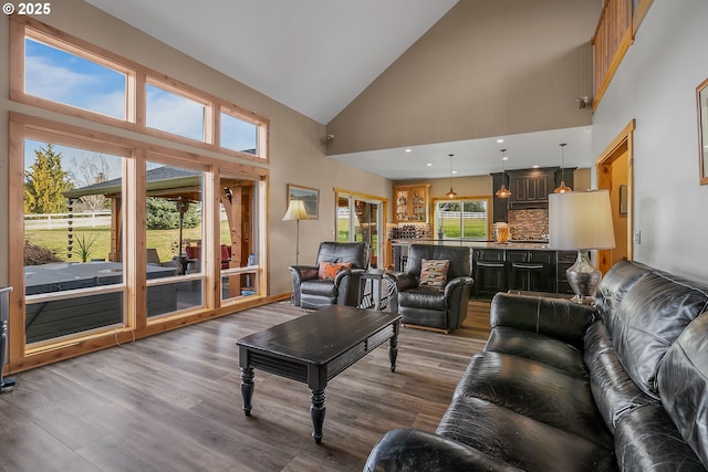 living room with high vaulted ceiling and dark hardwood / wood-style floors