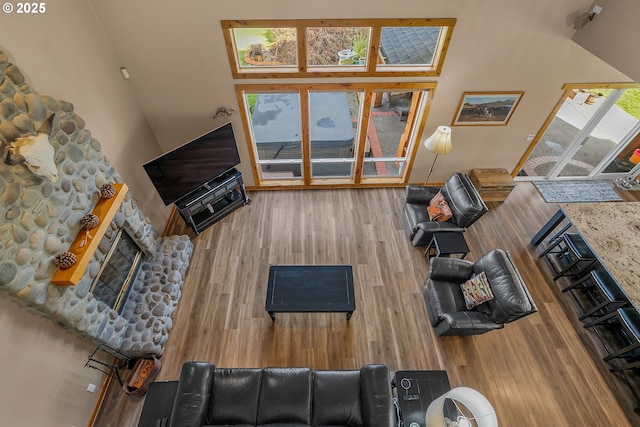 living room featuring wood-type flooring and a stone fireplace