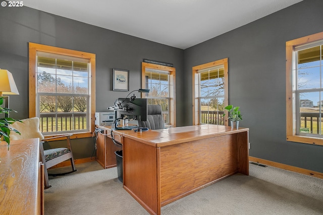 office featuring light colored carpet and a healthy amount of sunlight