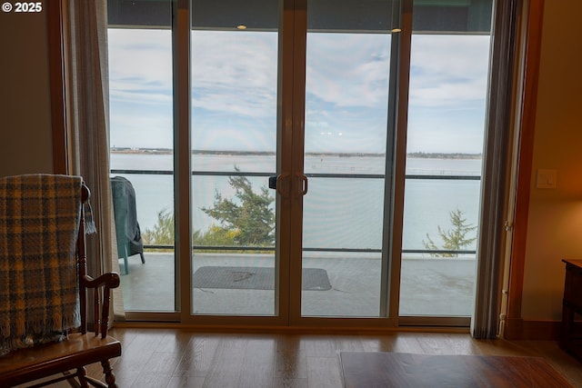 entryway with expansive windows, a water view, and wood finished floors