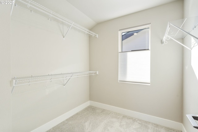 walk in closet featuring carpet