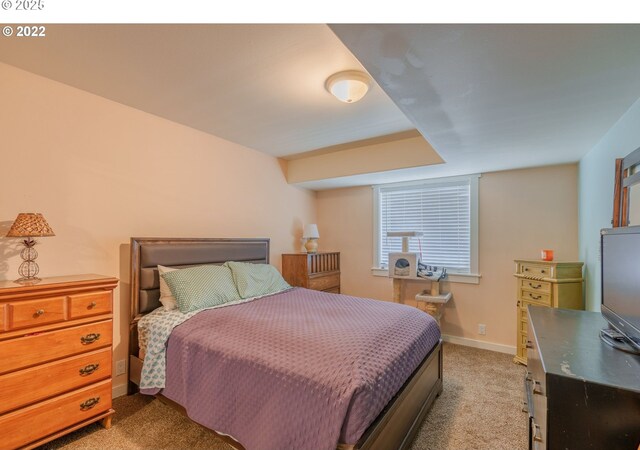 bedroom featuring carpet