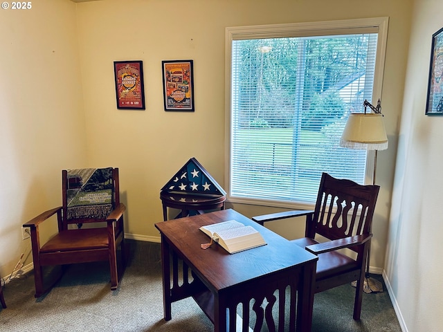 carpeted office space featuring baseboards