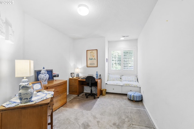 home office with light colored carpet, visible vents, and baseboards