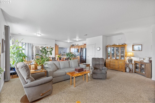 living room with light carpet and a textured ceiling