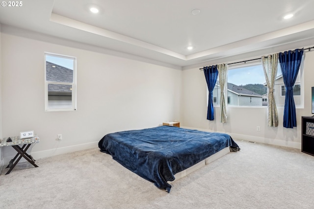 carpeted bedroom featuring a tray ceiling