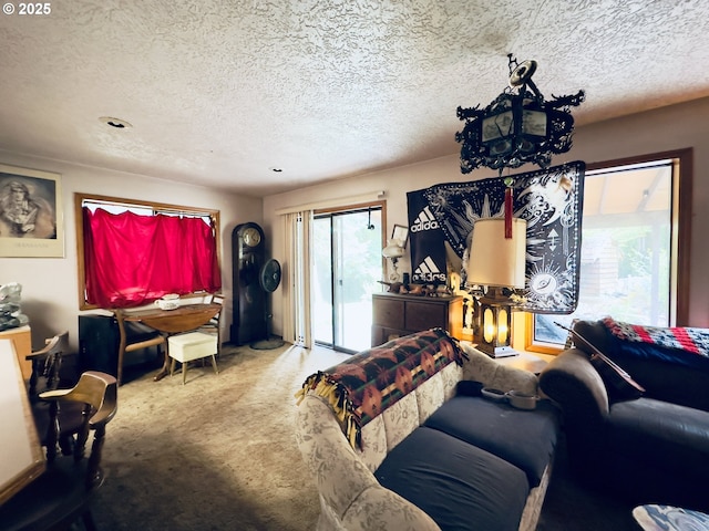818 NW 359th St, La Center, WA 98629 - carpeted living room featuring a textured ceiling