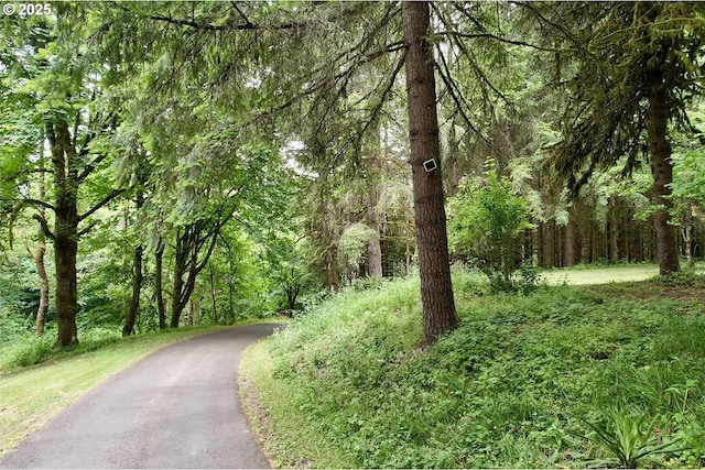 818 NW 359th St, La Center, WA 98629 - view of home's community featuring a view of trees and asphalt driveway