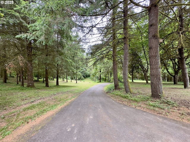 818 NW 359th St, La Center, WA 98629 - view of street featuring a forest view