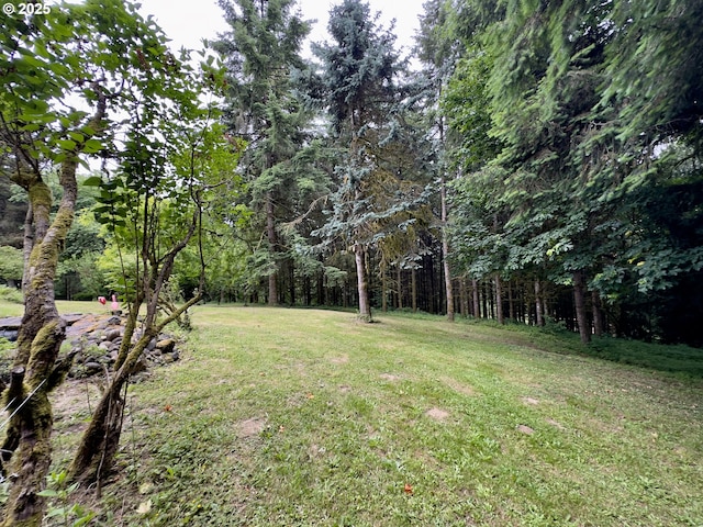 818 NW 359th St, La Center, WA 98629 - view of green lawn with a forest view